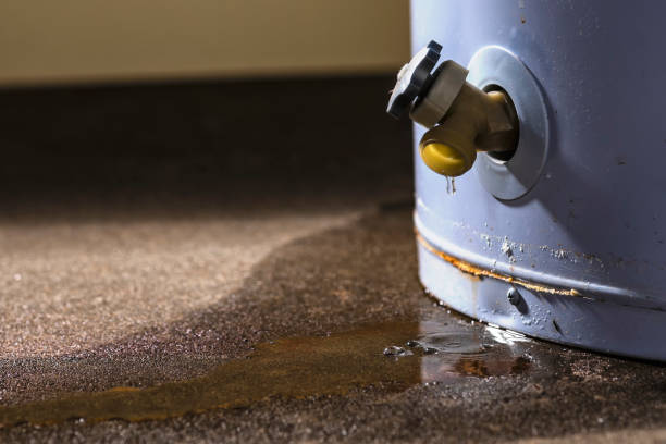 Best Water damage restoration near me  in Roma, TX