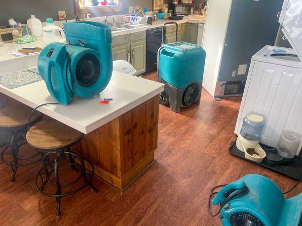 Best 24/7 water damage repair  in Roma, TX