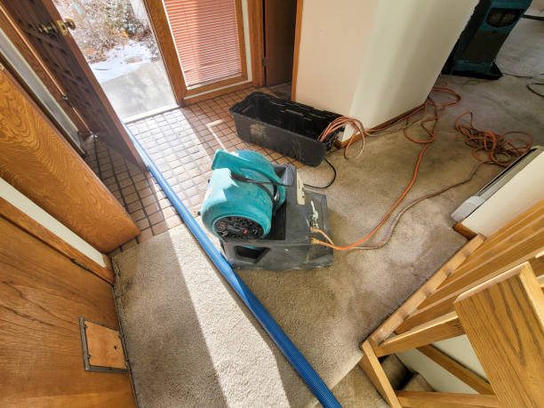 Trusted TX Water damage restoration Experts