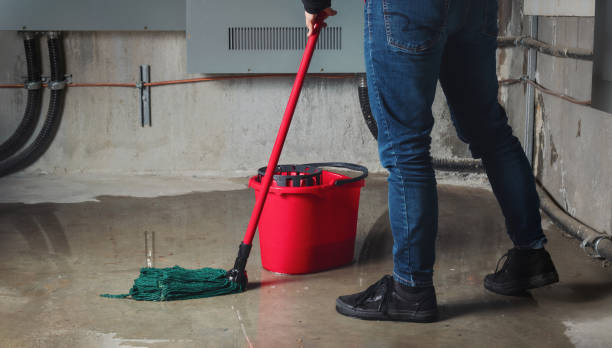 Best Water damage contractors near me  in Roma, TX